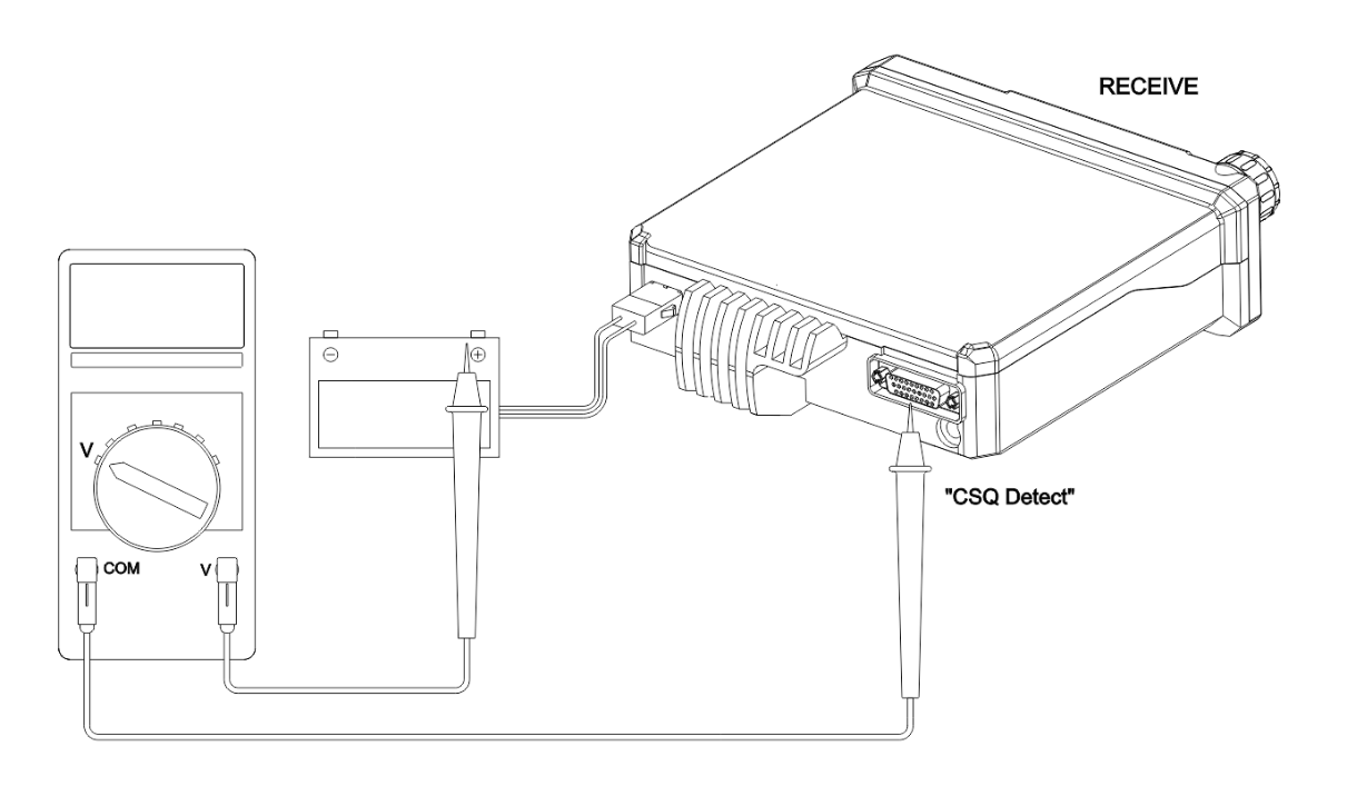 CSQ Detect Output